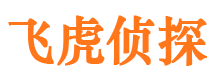 平川侦探